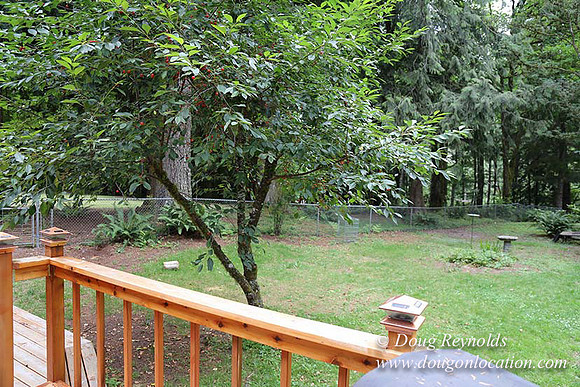 Cabin;  Home;  House; OR, Oregon Yard; deck; green. River,