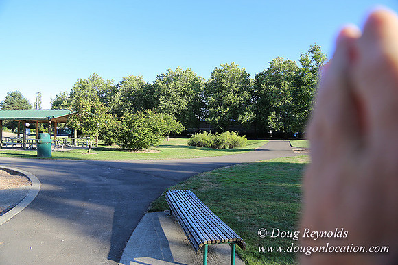 Lincoln Park-0601