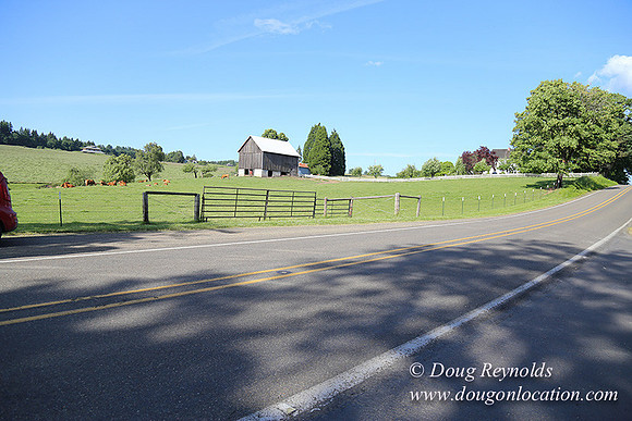 Helvetia rd Church-6051
