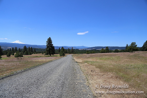 Brothers Ranch-8449