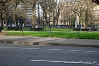 Chapman Square-0451