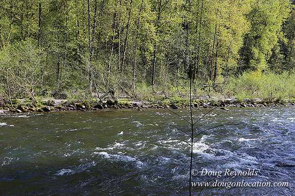 Brians River Side-9863