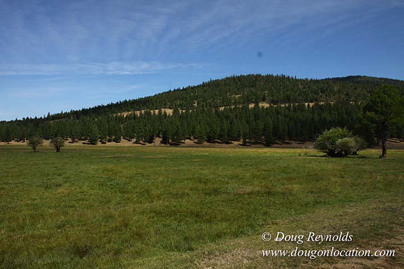 Ranch 18 South side of Hwy  has 2500 Acres of green fields Creeks water crossing Bridges on a Large Lake and miles of Dirt roads Oak trees  Forest land ATV Trails cows