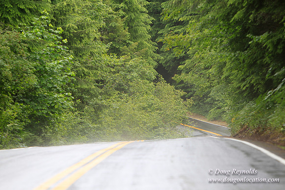Brower Rd
