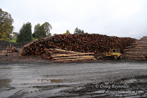 Saw Mill and Lumber Yard