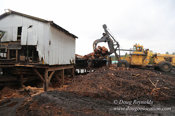 Saw Mill and Lumber Yard
