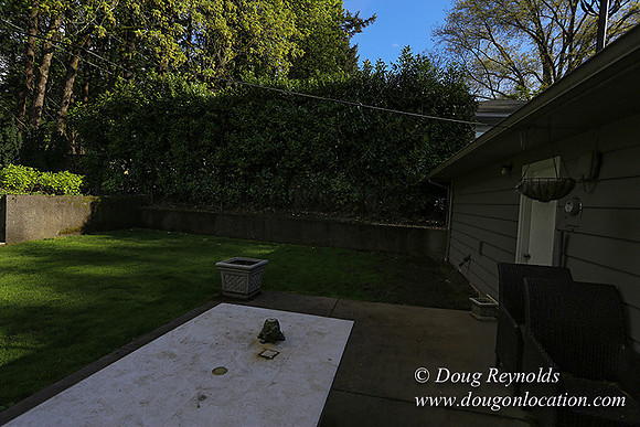 Mid Century Traditional Style Home, With a Basement, 2 car garage average sized Back Yard with Patio and Fire Pit.  New Kitchen, Family room Bathrooms and Game room