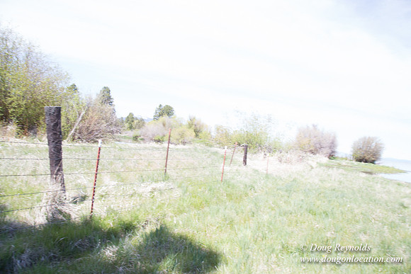 Ranch 18