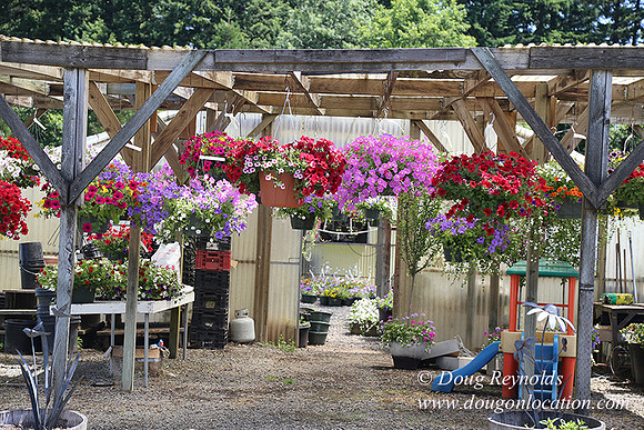 lee Farms-5279