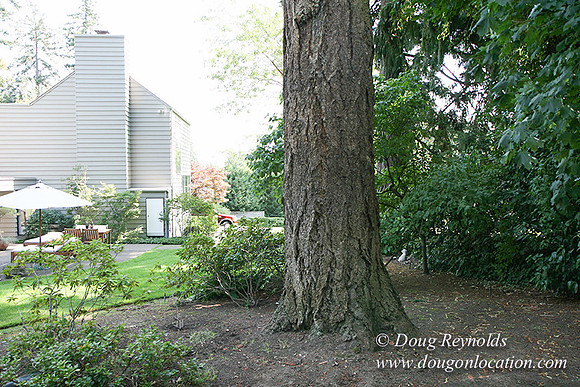 Smith House Contemporary, Modern, Dwell Style Home 3 car garage, 2 story’s, larger back yard & Front yard. Patio, PDX Zone