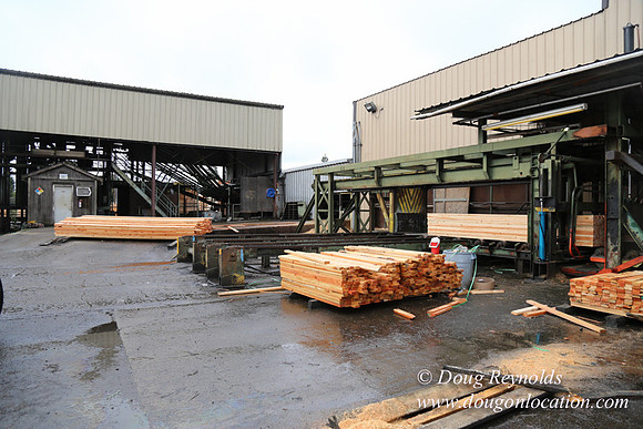 Saw Mill and Lumber Yard