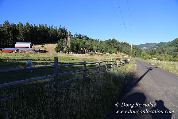 Neil Creek Horses-8559