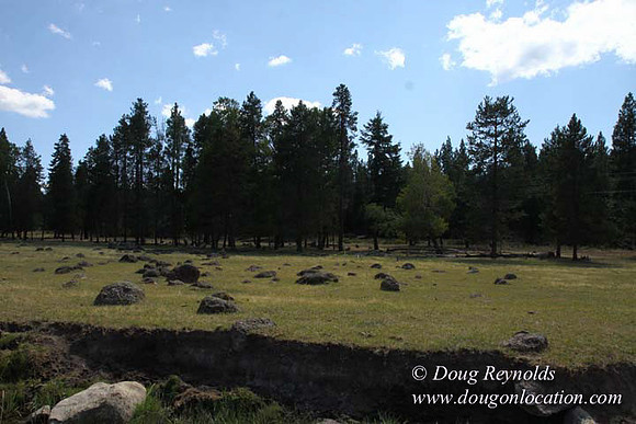 Ranch 18 South side of Hwy  has 2500 Acres of green fields Creeks water crossing Bridges on a Large Lake and miles of Dirt roads Oak trees  Forest land ATV Trails cows