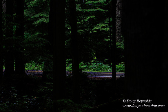 Larch Mt Rd