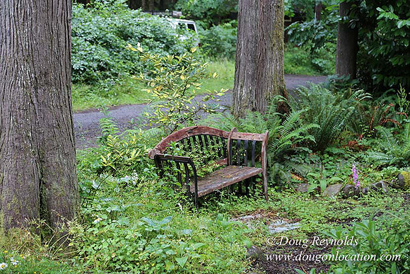 Small, Cabin, Home, River, OR, Oregon, Green, Yard,