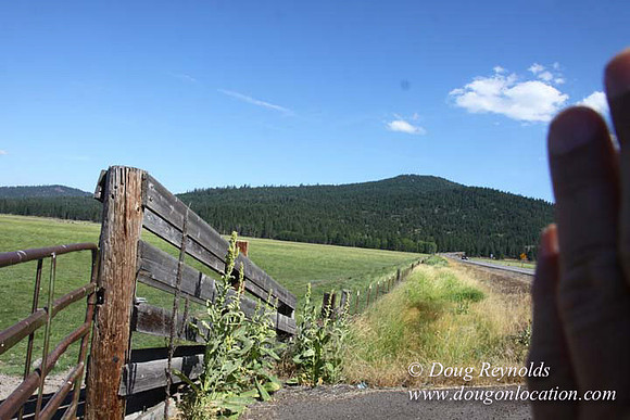 Ranch 18 South side of Hwy  has 2500 Acres of green fields Creeks water crossing Bridges on a Large Lake and miles of Dirt roads Oak trees  Forest land ATV Trails cows