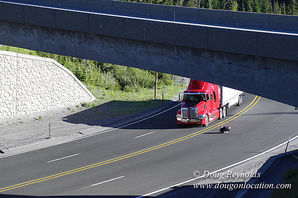 CMD Western Star Production Photo