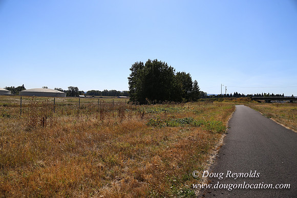 West End S Runway-4933