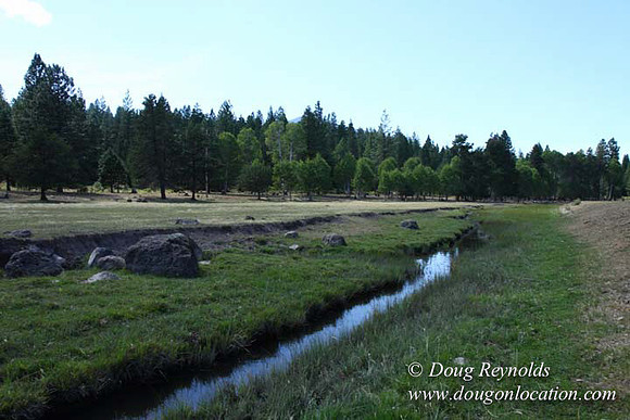Ranch 18 South side of Hwy  has 2500 Acres of green fields Creeks water crossing Bridges on a Large Lake and miles of Dirt roads Oak trees  Forest land ATV Trails cows