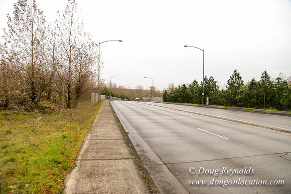 Marine Dr Overpass-5288