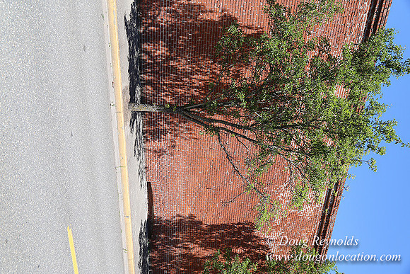 2nd St Hood River-7902
