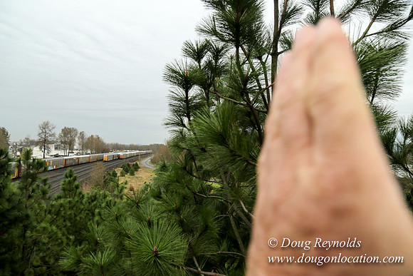 Marine Dr Overpass-5259