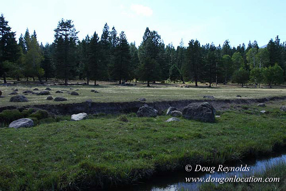 Ranch 18 South side of Hwy  has 2500 Acres of green fields Creeks water crossing Bridges on a Large Lake and miles of Dirt roads Oak trees  Forest land ATV Trails cows