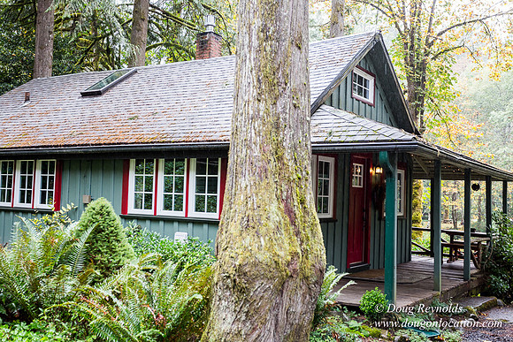 Collins Cabin