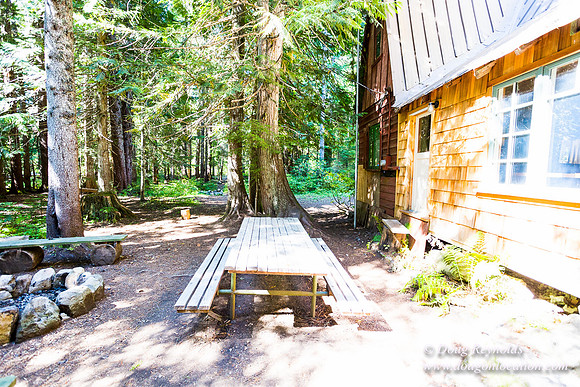Karri's Cabin