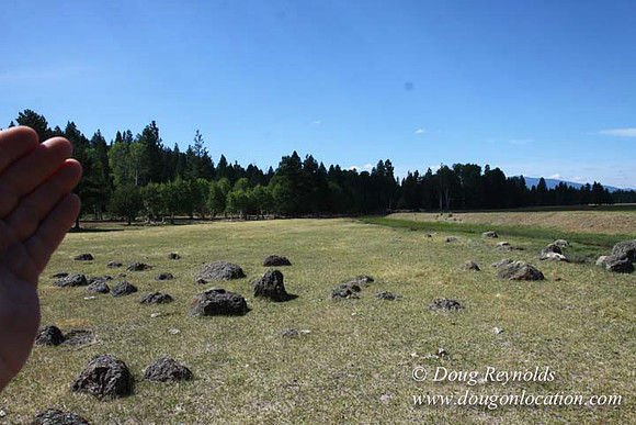 Ranch 18 South side of Hwy  has 2500 Acres of green fields Creeks water crossing Bridges on a Large Lake and miles of Dirt roads Oak trees  Forest land ATV Trails cows