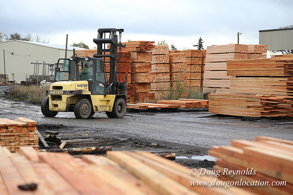 Saw Mill and Lumber Yard