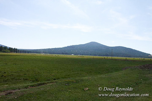 2500 Acres of green fields Creeks water crossing Bridges on a Large Lake and miles of Dirt roads Oak trees Forest land ATV Trails cows