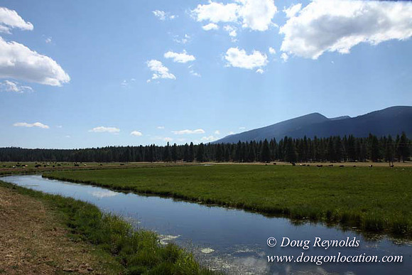 Ranch 18 South side of Hwy  has 2500 Acres of green fields Creeks water crossing Bridges on a Large Lake and miles of Dirt roads Oak trees  Forest land ATV Trails cows