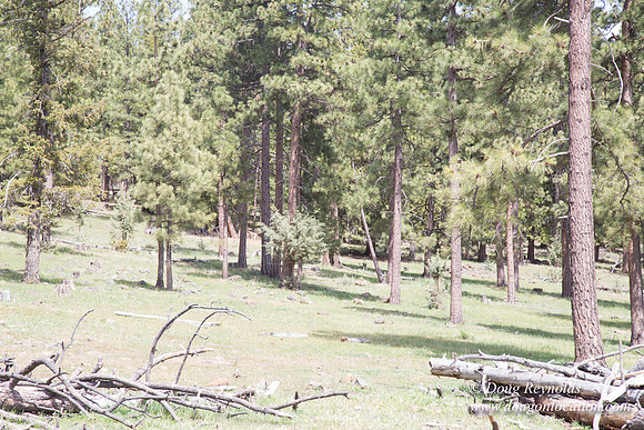 Ranch 18