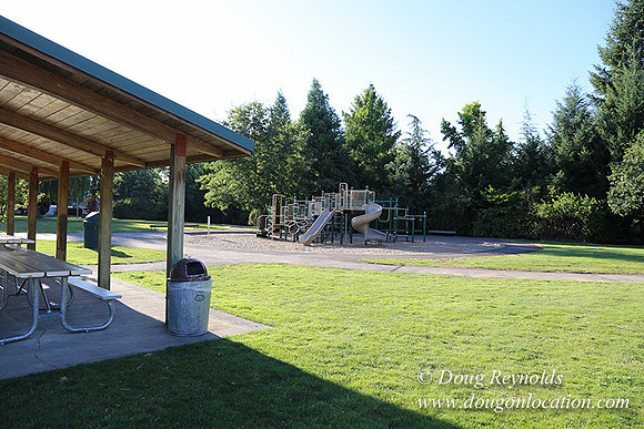 Lincoln Park-0577