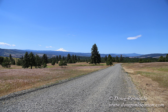 Brothers Ranch-8448