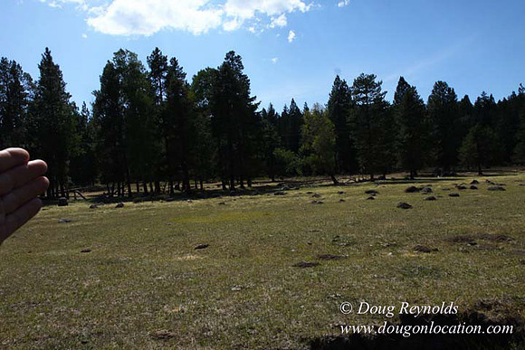 Ranch 18 South side of Hwy  has 2500 Acres of green fields Creeks water crossing Bridges on a Large Lake and miles of Dirt roads Oak trees  Forest land ATV Trails cows