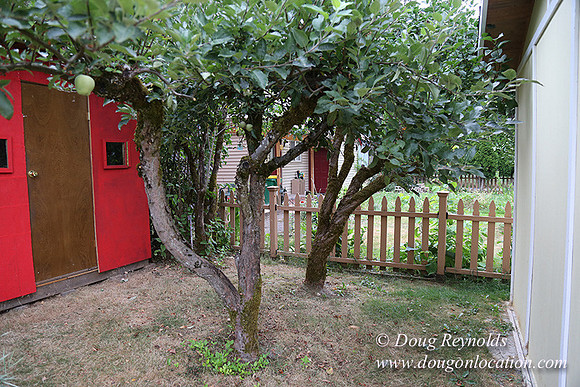 Nathan's Backyard-1731