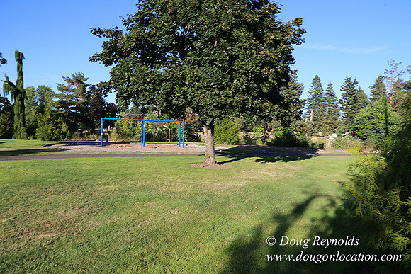Lincoln Park-0663