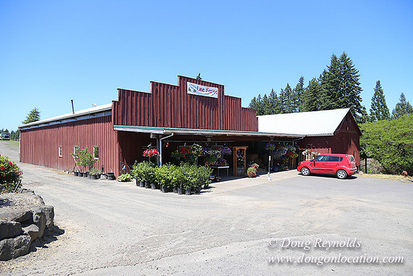 lee Farms-5273