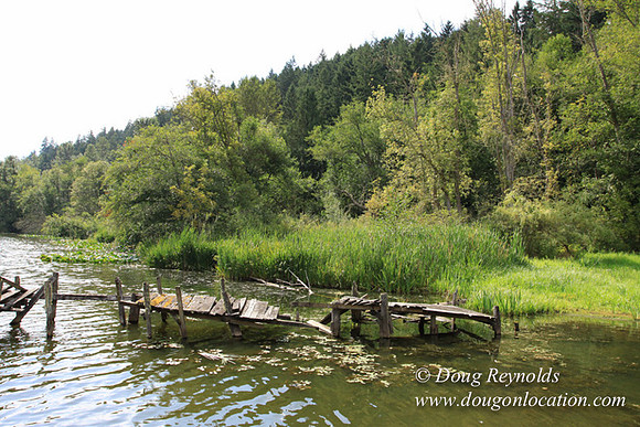 Roberts Lake House-4861