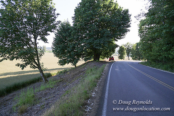 Moores Rd 2-7090