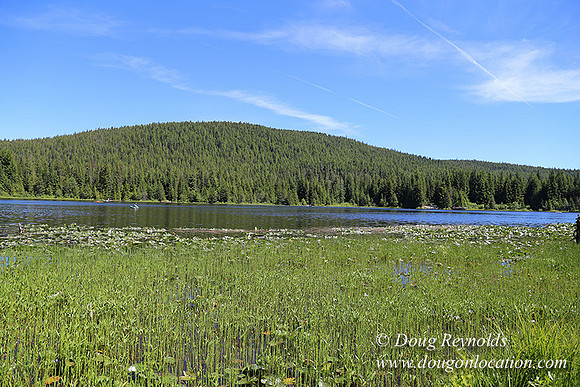 Trillium Lake-32003638
