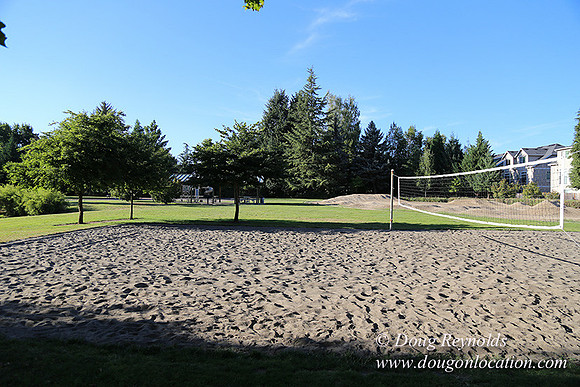 Lincoln Park-0556
