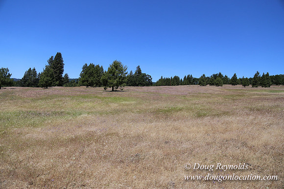 Brothers Ranch-8453