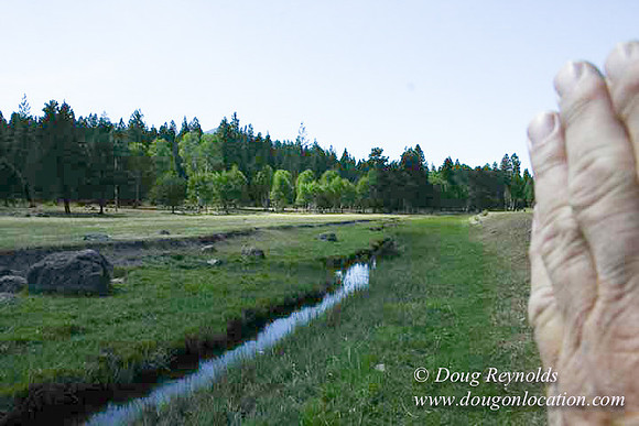 Ranch 18 South side of Hwy  has 2500 Acres of green fields Creeks water crossing Bridges on a Large Lake and miles of Dirt roads Oak trees  Forest land ATV Trails cows