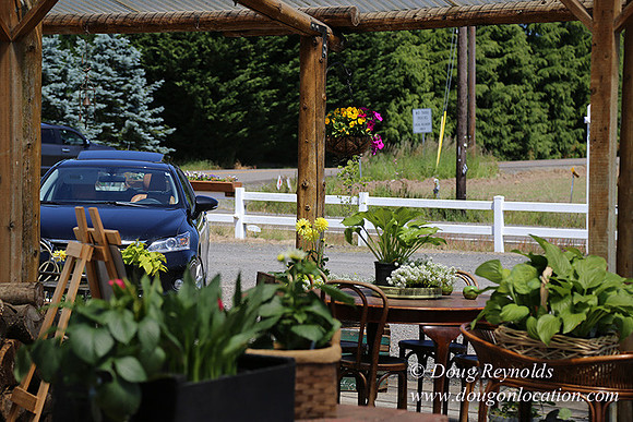 Little Door Farm Market-5412