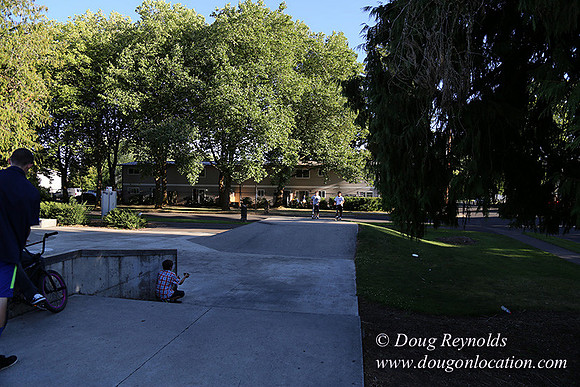 Lincoln Park-0619