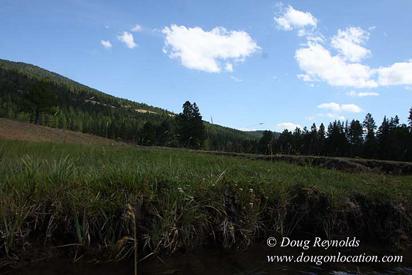 Ranch 18 South side of Hwy  has 2500 Acres of green fields Creeks water crossing Bridges on a Large Lake and miles of Dirt roads Oak trees  Forest land ATV Trails cows