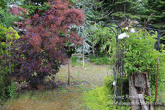 Shere's Garden Flowers & produce